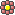 花5