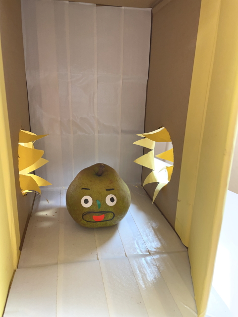 お誕生会☆～箱の中身は何だろな♪～