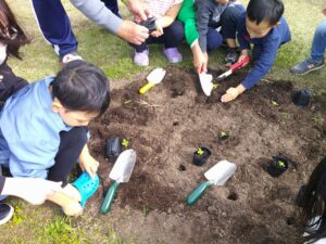 天まで届け！ひまわりさん🌻