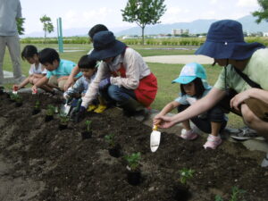 ほのぼーのふぁーむ