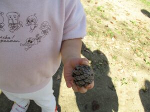 秋の自然を楽しんでいます♪