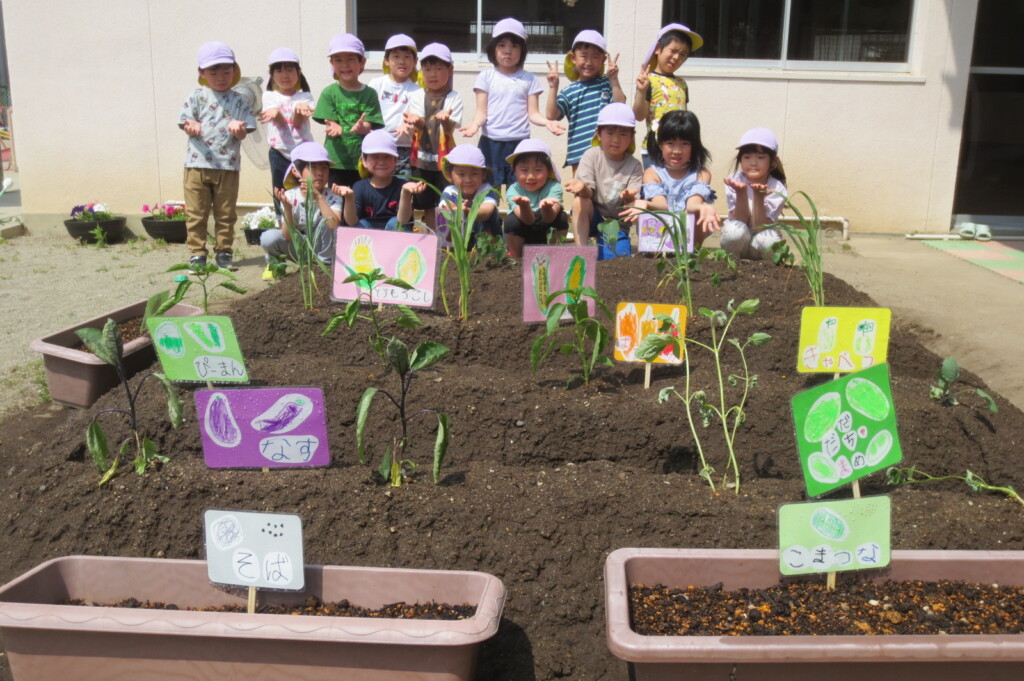 畑に野菜の苗を植えたよ！！