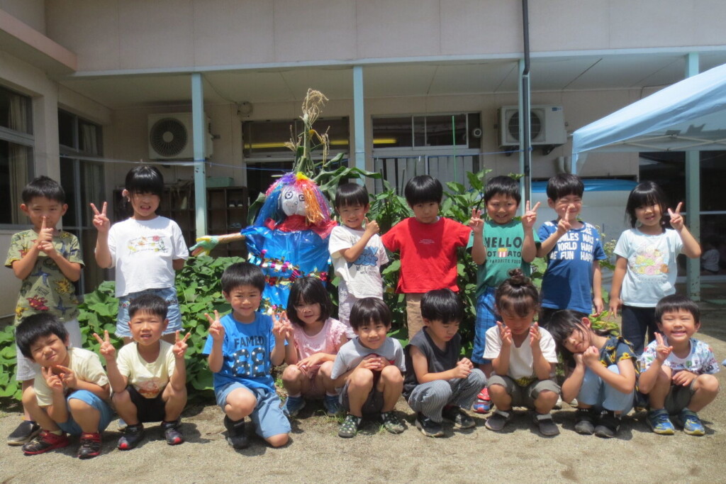 すみれ組の畑の野菜の生長と収穫♪