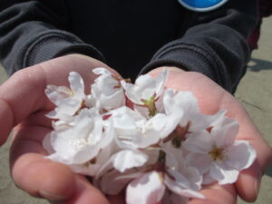 春・令和５年度スタート！！