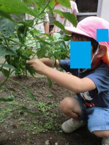 おいしい夏野菜いただきまーす♡