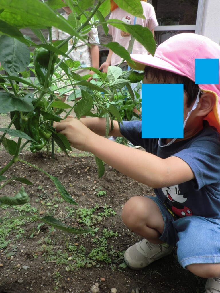 おいしい夏野菜いただきまーす♡