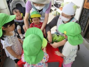 美味しいサラダになぁーれー！！