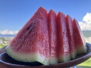 スイカ割り、大成功！！