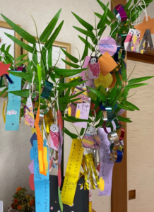 ささのは　さーらさら☆彡