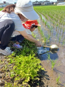 おたまじゃくしを見つけに行こう!!