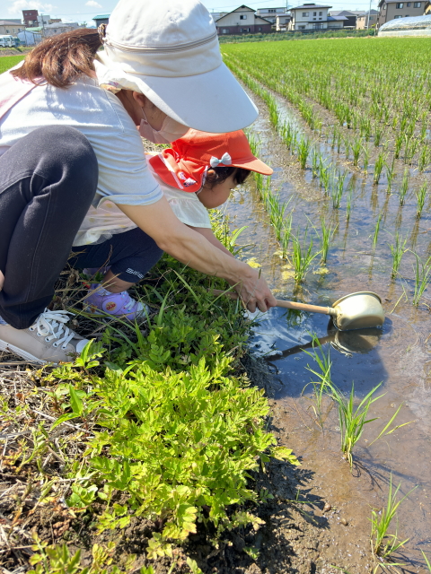 おたまじゃくしを見つけに行こう!!