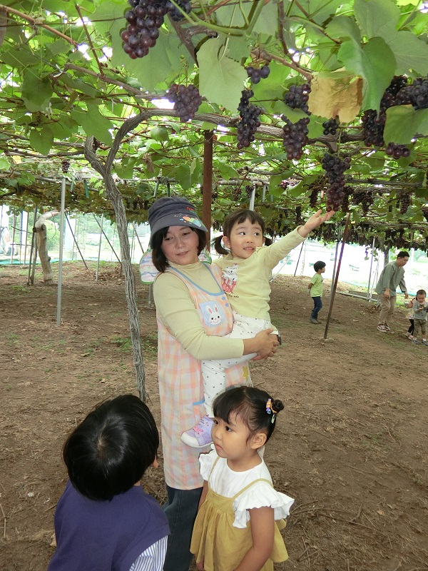 💗ブドウ🍇狩り遠足