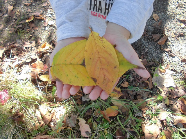 秋を満喫中です♪