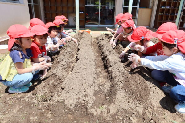 畑活動を始めました！