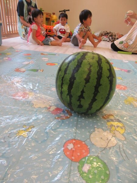 楽しい！おいしい！スイカ割り🍉