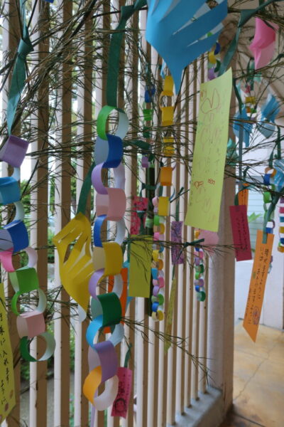 もうすぐ七夕🌟