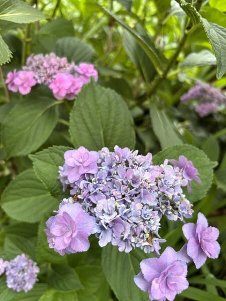 楽しかったね！七夕会