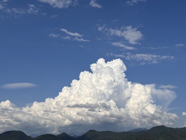 お手伝いだぁーい好き！！