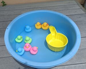 🐟🐡🐠水遊びを楽しもう🐟🐡🐠　※事前申し込みが必要です（４組）