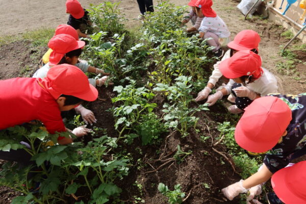 畑活動がんばったね！