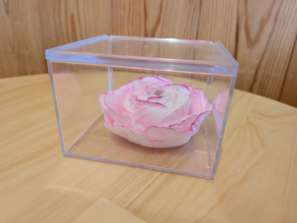 キッチンペーパーでバラの花を作ろう🌼　※前日までにお申し込みください。（4組）